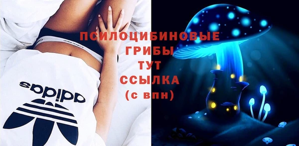 дживик Краснотурьинск