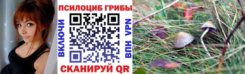 мориарти формула  Уяр  Галлюциногенные грибы мухоморы  mega маркетплейс 